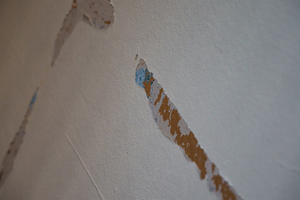 Flood Cleanup service in West Allis, WI